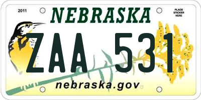 NE license plate ZAA531