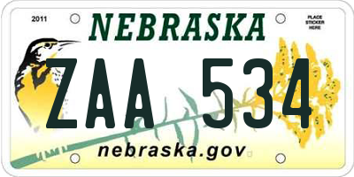 NE license plate ZAA534