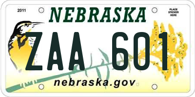 NE license plate ZAA601