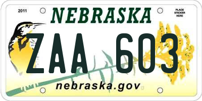 NE license plate ZAA603