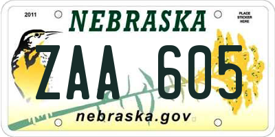 NE license plate ZAA605