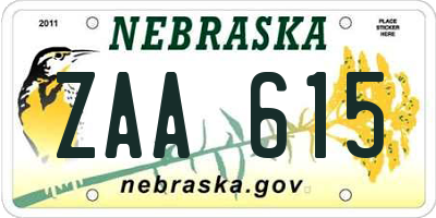 NE license plate ZAA615