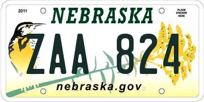 NE license plate ZAA824