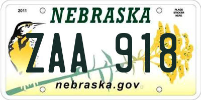 NE license plate ZAA918