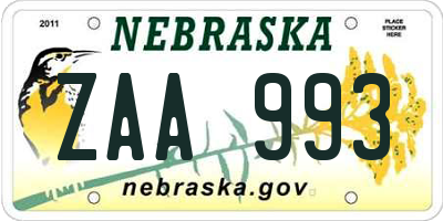 NE license plate ZAA993