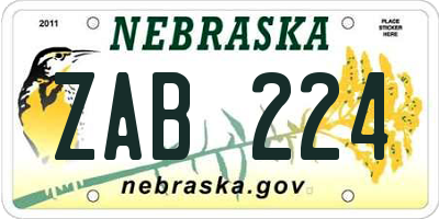 NE license plate ZAB224