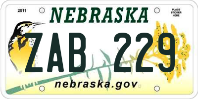 NE license plate ZAB229
