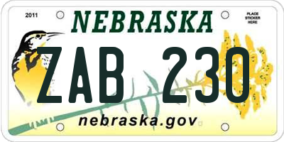 NE license plate ZAB230