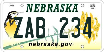 NE license plate ZAB234