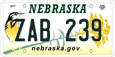 NE license plate ZAB239