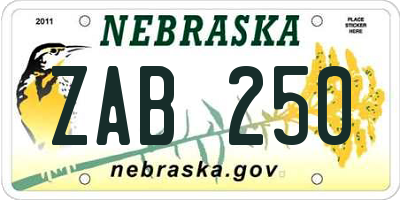 NE license plate ZAB250