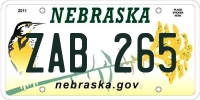 NE license plate ZAB265