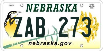NE license plate ZAB273