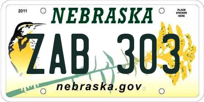 NE license plate ZAB303