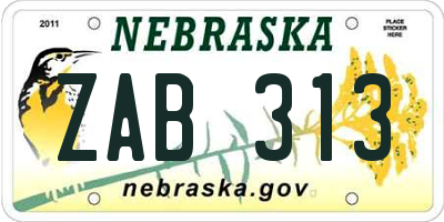 NE license plate ZAB313