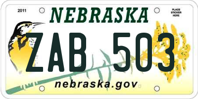NE license plate ZAB503