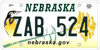 NE license plate ZAB524