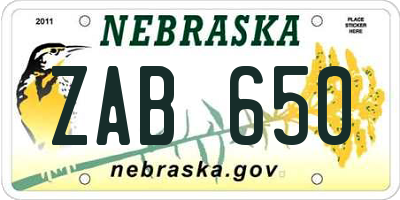 NE license plate ZAB650