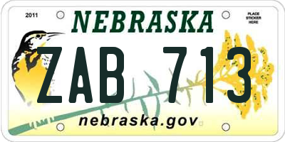NE license plate ZAB713
