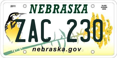 NE license plate ZAC230