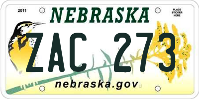 NE license plate ZAC273