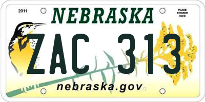 NE license plate ZAC313