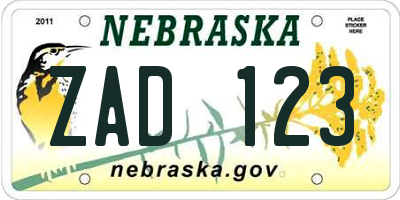 NE license plate ZAD123