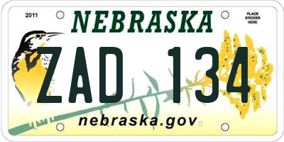 NE license plate ZAD134