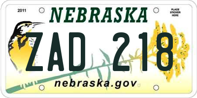 NE license plate ZAD218