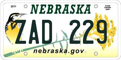 NE license plate ZAD229