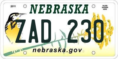 NE license plate ZAD230