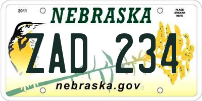 NE license plate ZAD234