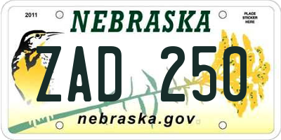 NE license plate ZAD250