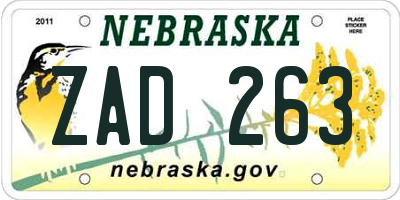 NE license plate ZAD263