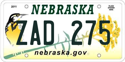 NE license plate ZAD275