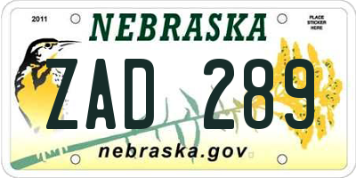 NE license plate ZAD289