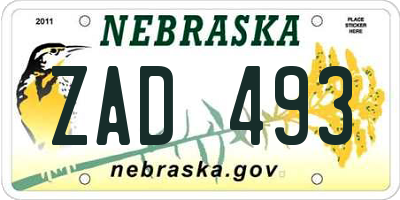 NE license plate ZAD493
