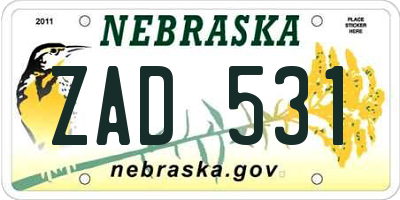 NE license plate ZAD531