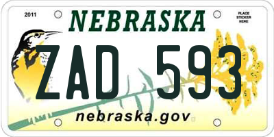 NE license plate ZAD593