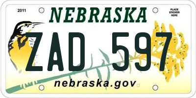 NE license plate ZAD597