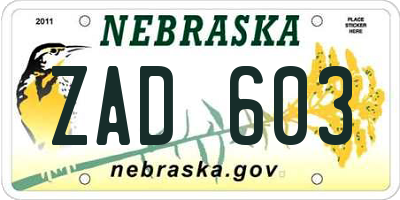 NE license plate ZAD603
