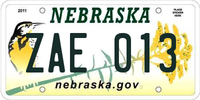NE license plate ZAE013