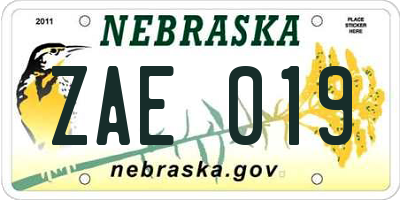 NE license plate ZAE019