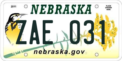 NE license plate ZAE031