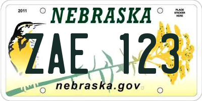 NE license plate ZAE123