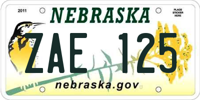 NE license plate ZAE125