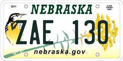 NE license plate ZAE130