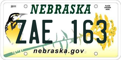 NE license plate ZAE163