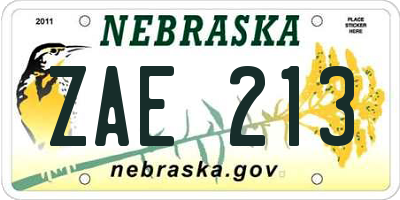NE license plate ZAE213
