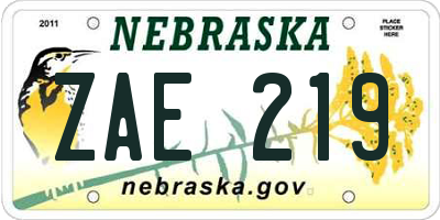 NE license plate ZAE219